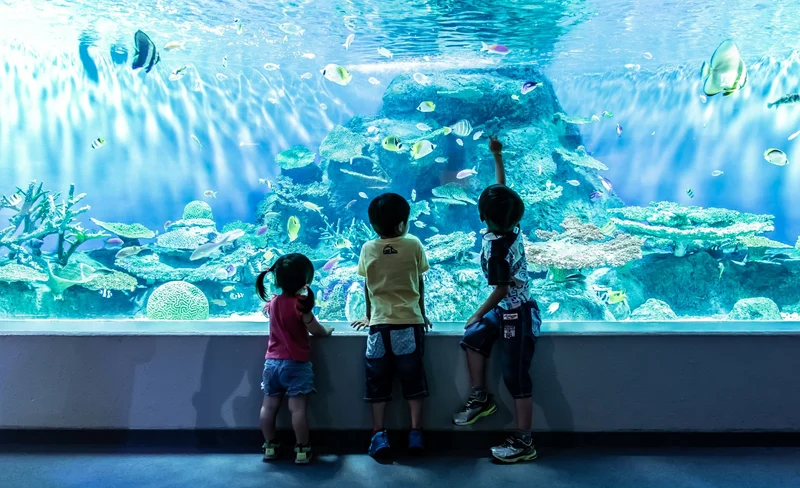 Shinagawa Aquarium Admission Ticket in Tokyo