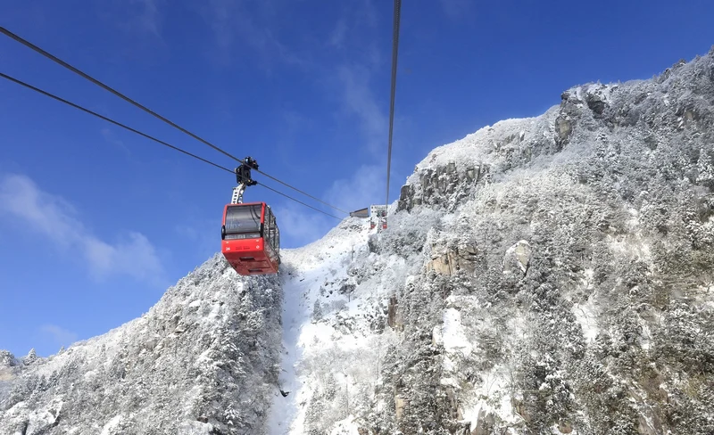 Dazzling Snow View Tour to FrozenTree and Illumination from Osaka