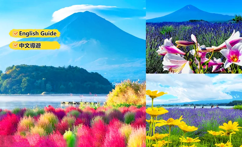 Mt. Fuji Scenic Spots & Lake Kawaguchi Floral Discovery 1-Day Tour