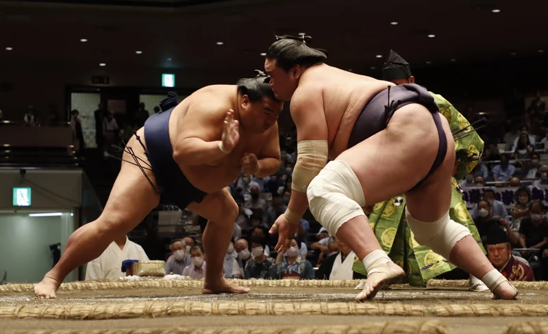 Fukuoka City, Kyushu Grand Sumo Tournament Viewing Tour
