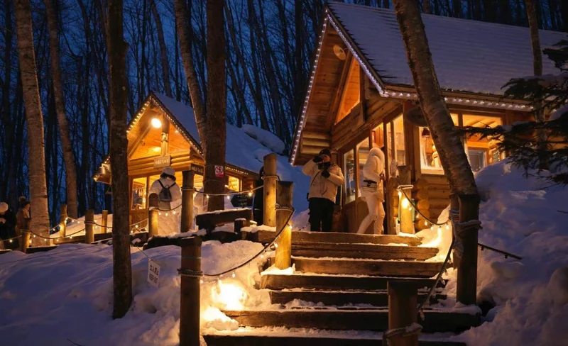 Asahiyama Zoo, Biei, & Ningle Terrace One Day Tour from Sapporo