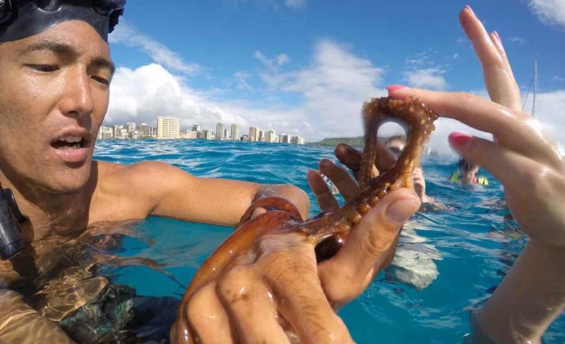 Morning Snorkel and Sail Experience from Kewalo Harbor
