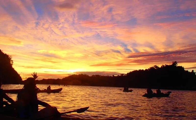 Mangrove Kayaking and Fishing Experience in Okinawa