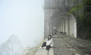 Alishan Mianyue Line Hiking Day Tour in Chiayi