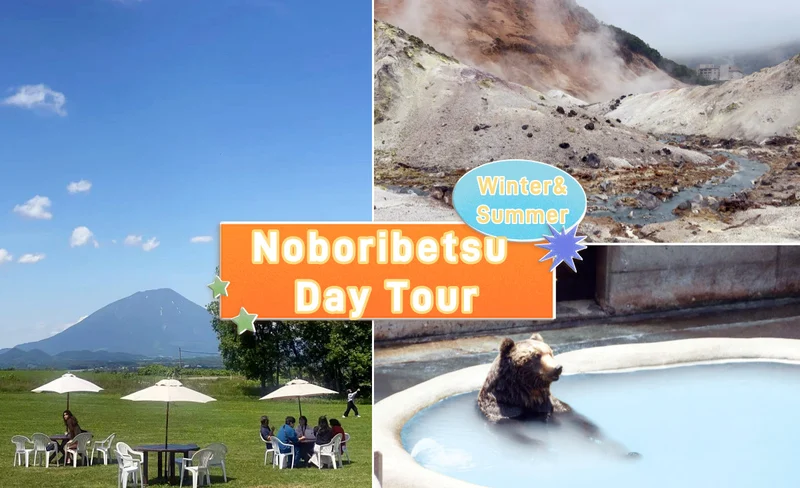 Noboribetsu｜Lake Toya & Showa Shinzan Bear Farm & Noboribetsu Jigokudani Day Tour｜Depart from Sapporo