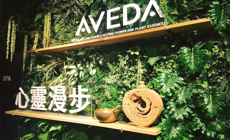 Taipei and Taichung AVEDA SPA Oil Massage and Hand Massage
