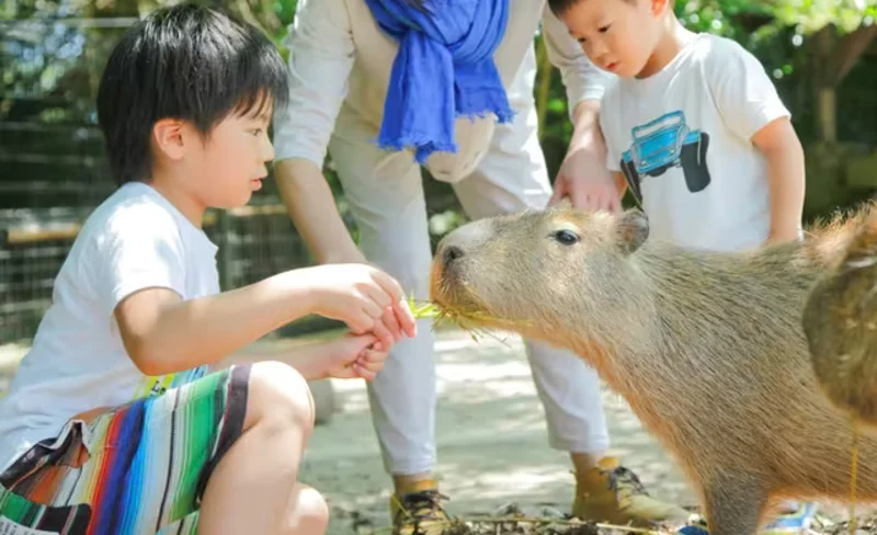 Nagasaki Bio Park Admission in Saikai