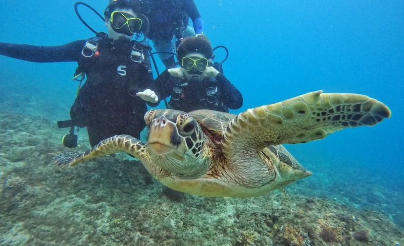 Xiaoliuqiu: Experience diving,One-to-one license-free