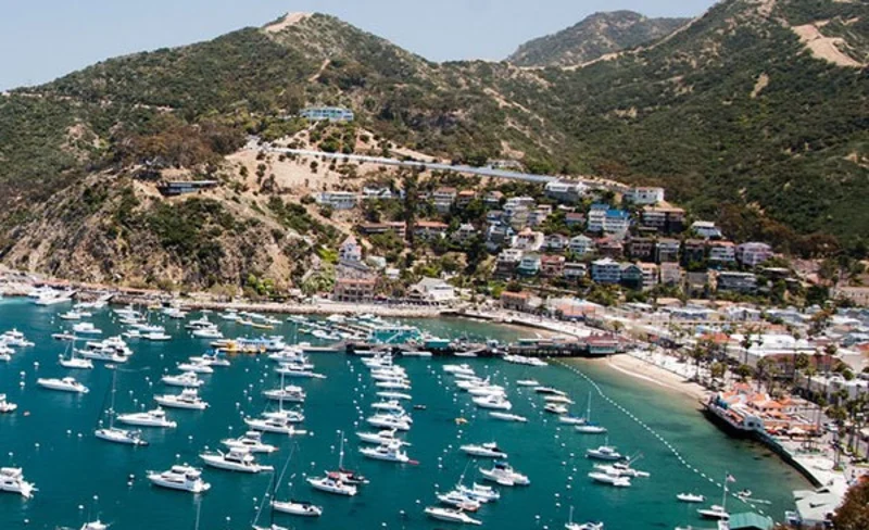 Los Angeles Catalina Island Tour with Optional Round Trip Transfer