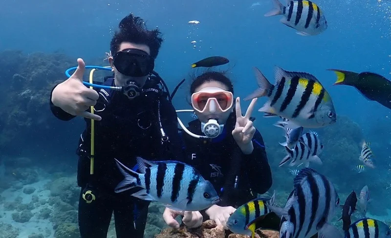 Try Diving, Fun Dive & OW Diver Course in Kending