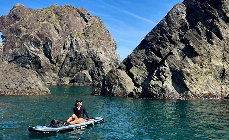 Yilan: Dong'ao Bay Pink Bird Forest - SUP Experience (Sunday session/General session)