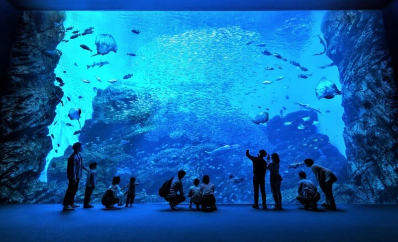 Sendai Umino-Mori Aquarium Ticket