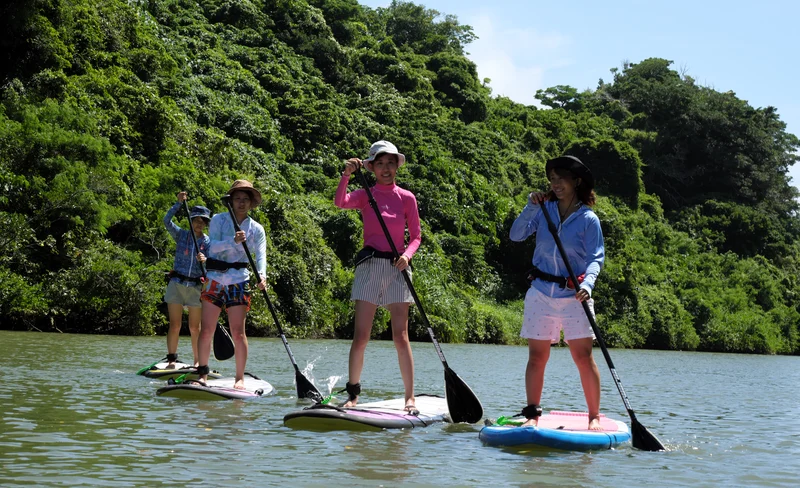 Mangrove River SUP in Hijya River
