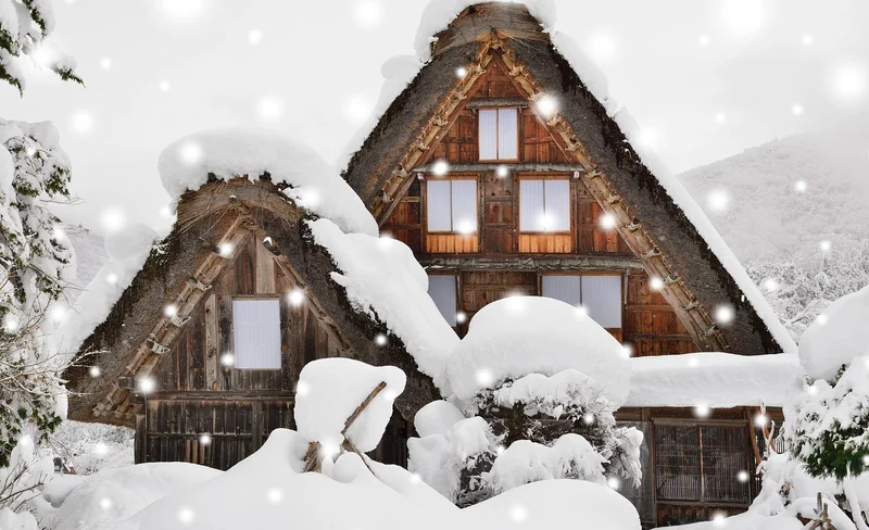 Shirakawago & Hida Winter Illumination 2-Day Bus Tour (from Osaka)