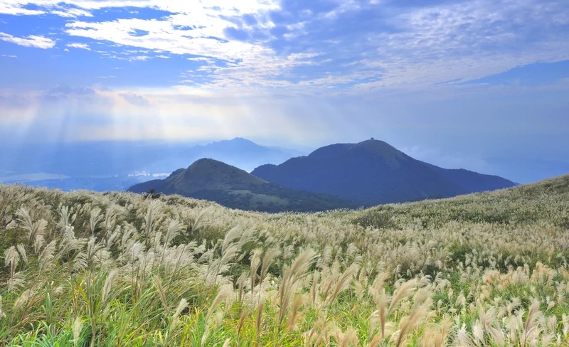 Yangmingshan National Park & National Palace Museum Day Tour