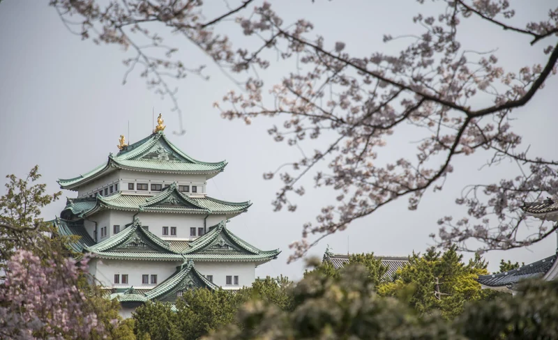 Guided Walk through Nagoya's Castle, Gardens, and Historic Estates