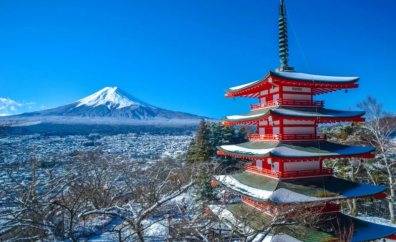 Mt. Fuji Private Customizable One Day Tour from Tokyo