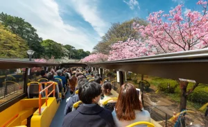 Tokyo City, Open Top Bus Sightseeing Trip