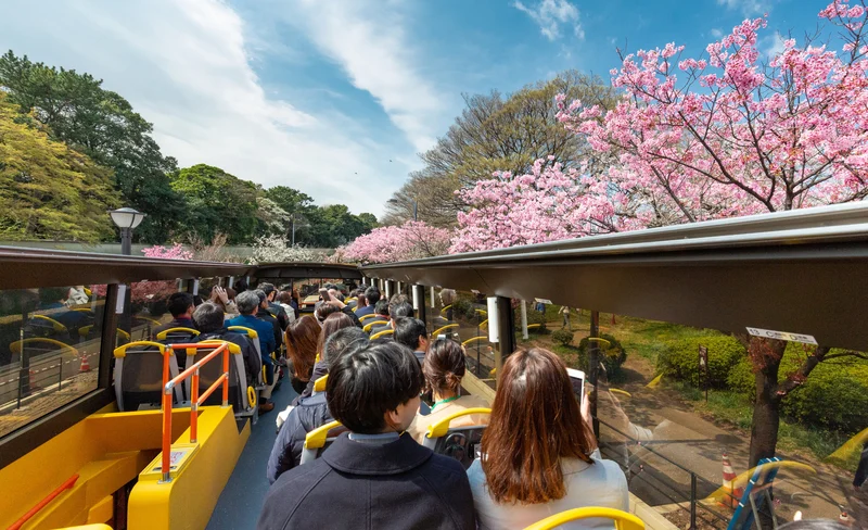Tokyo City, Open Top Bus Sightseeing Trip