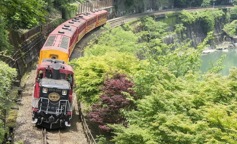 Kyoto City, Sagano Romantic Train & Hozugawa River Boat Ride Tour