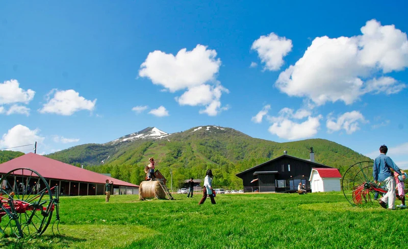[Hokkaido | Noboribetsu Lake Toya Niseko One-Day Tour] Little Fuji Yotei & Takahashi Ranch & Lake Toya & Noboribetsu Hell Valley & Bear Ranch & Kyogoku Famous Water Park & Winter Lake Shikotsu Ice Wave Festival One-day Tour ｜Departure from Sapporo
