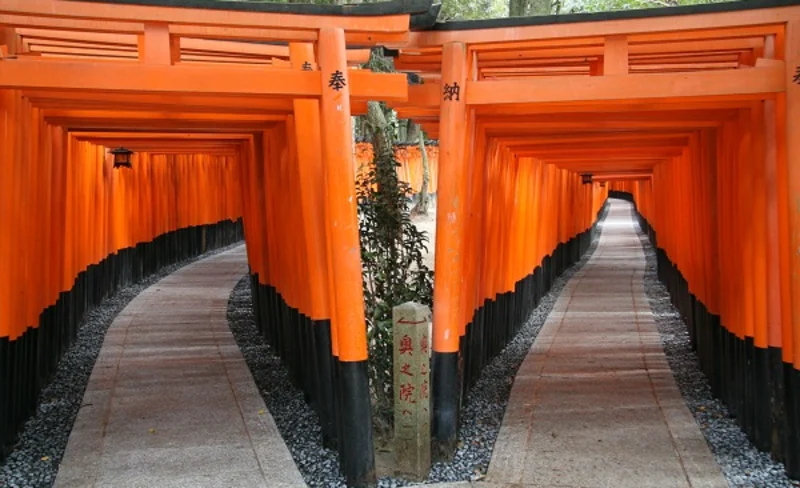 From Tokyo 1-Day Kyoto English-guided Tour by Bullet Train