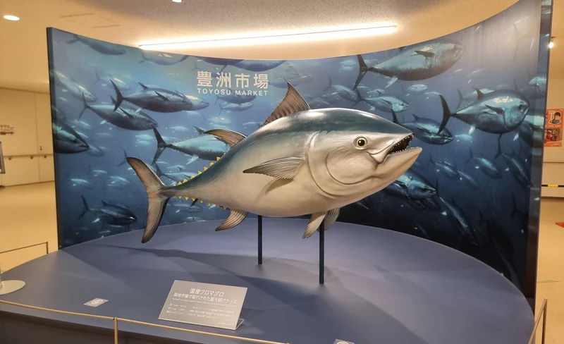 Tokyo Toyosu Fish Market Tuna Auction with Fresh Seafood Buffet Tour