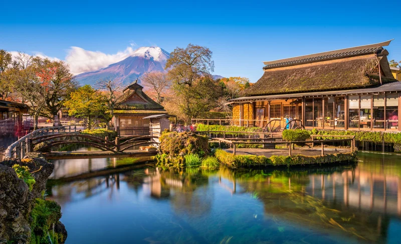 Mt. Fuji Private Customizable One Day Trip from Tokyo