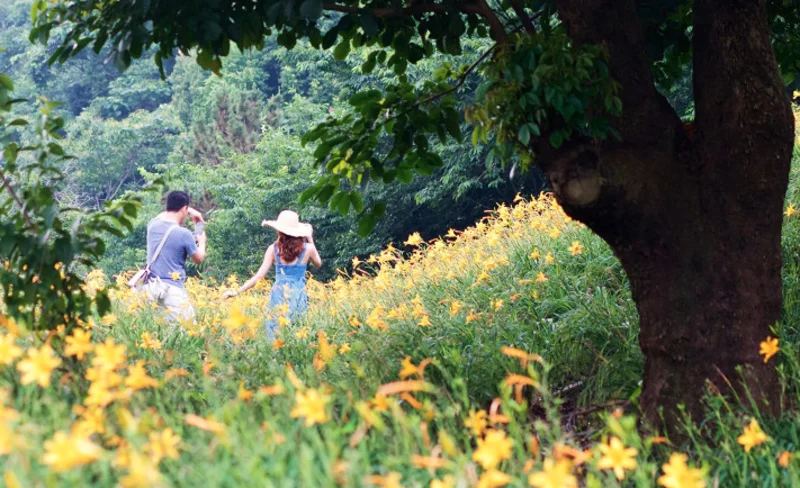 Muxinquan Leisure Farm ticket in Taichung