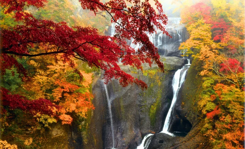 Ibaraki: One-day maple viewing tour - Fukuroda Falls & Ryujin Suspension Bridge (Includes Ibaraki special lunch) (Departs from Tokyo and Shinjuku)