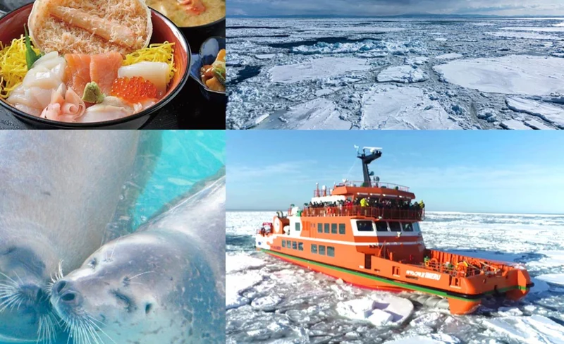 One-day trip to Hokkaido｜Take the new icebreaker GARINKO GO Ⅲ, enjoy the magnificent landscape of the ice and snow world, and experience a fantastic ice and snow trip｜Depart from Sapporo
