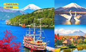Mt. Fuji and Hakone