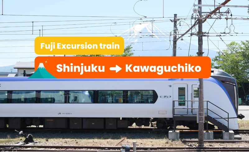 Shinjuku to Kawaguchiko - Fuji Excursion Ticket (Tokyo to Mount Fuji Train)