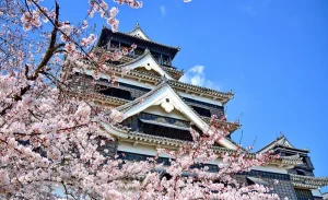 Kyushu Beppu Kumamoto Aso Fukuoka Nagasak Chartered car tour