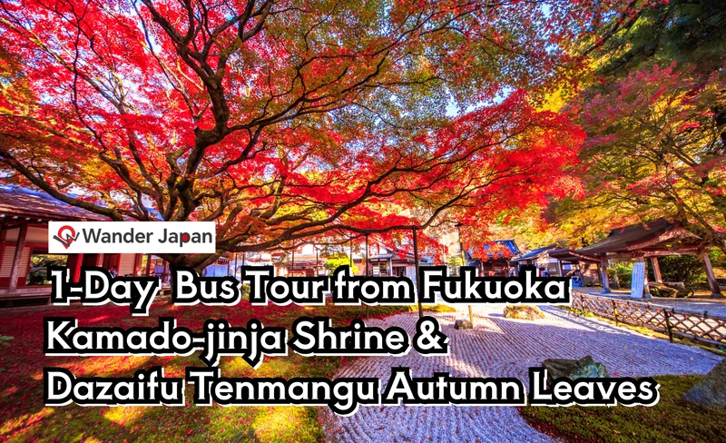 1-Day Kamado-jinja Shrine & Dazaifu Tenmangu Autumn Leaves Tour
