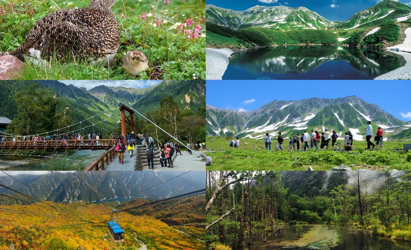 2D1N Kamikochi & Tateyama Kurobe Alpine Route Tour