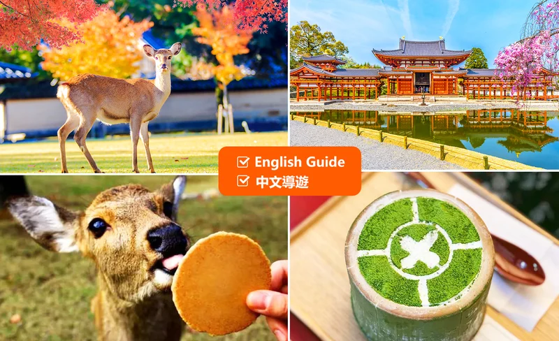 Nara Park & Todaiji Temple & Uji & Genji no Yu Day Tour (Departure from Osaka)