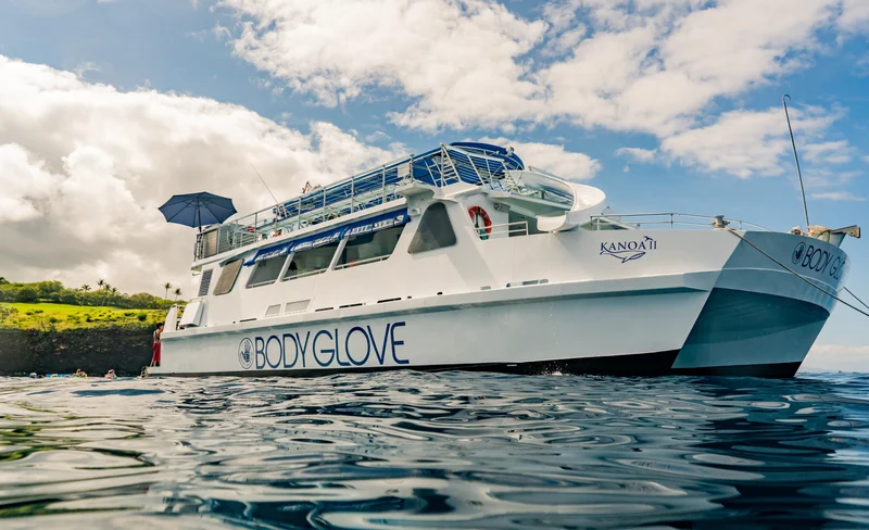 Deluxe Snorkeling & Dolphin Watching Experience in the Big Island