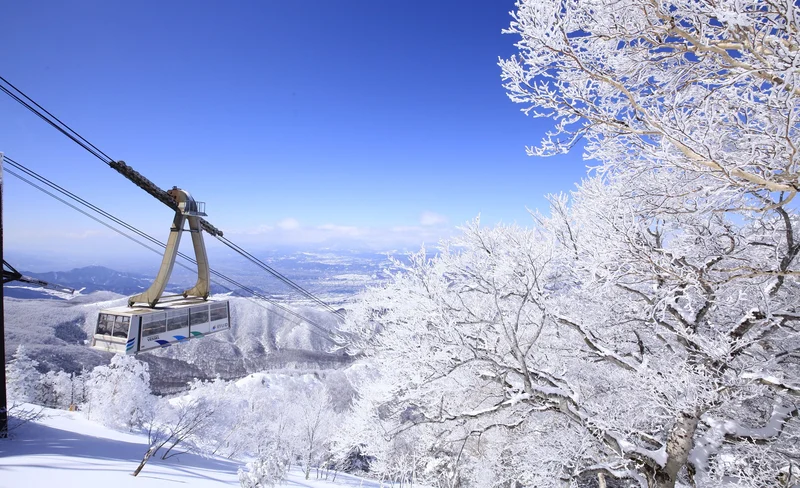 Nagano Kitashiga Ryuou Ski Park 2 day tour (from Tokyo)
