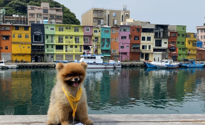 Northeast Coast Instagram Tour in New Taipei