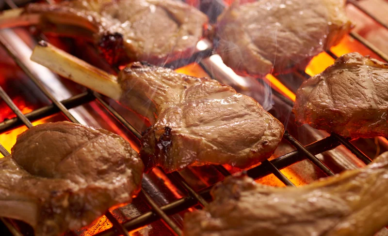 Matsuojingisukan - Genghis Khan Lamb BBQ in Hokkaido