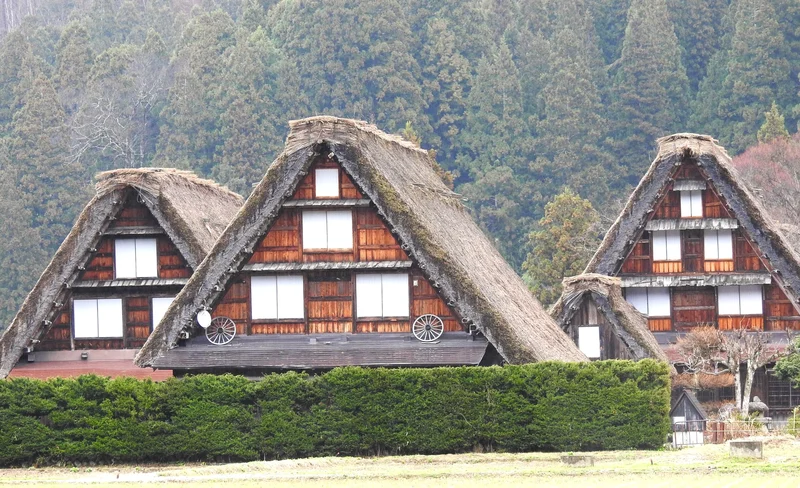 Shirakawago & Takayama 1-Day Tour (Round Trip from Kanazawa)