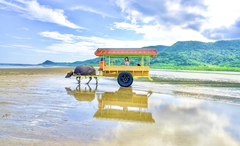Snorkeling at Coral Island and Sightseeing in Yubujima Island