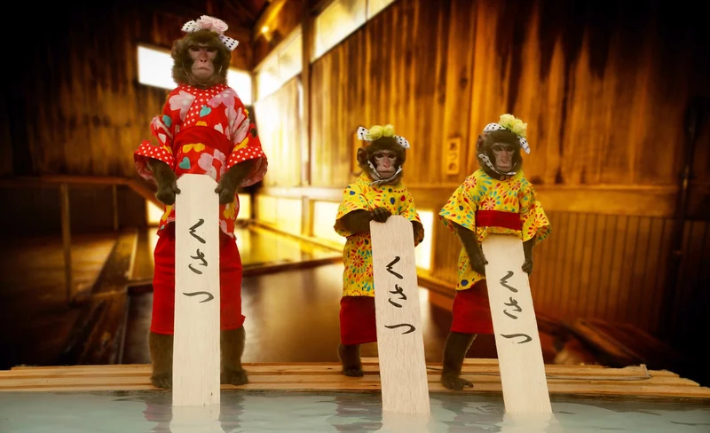 Osayu Yumomi Show Admission in Gunma