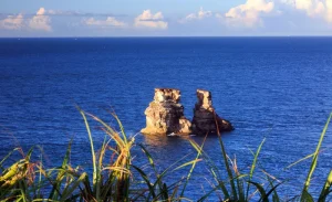 Taipei: Jinshan Hot Spring & North Coast & Yangmingshan Day Tour