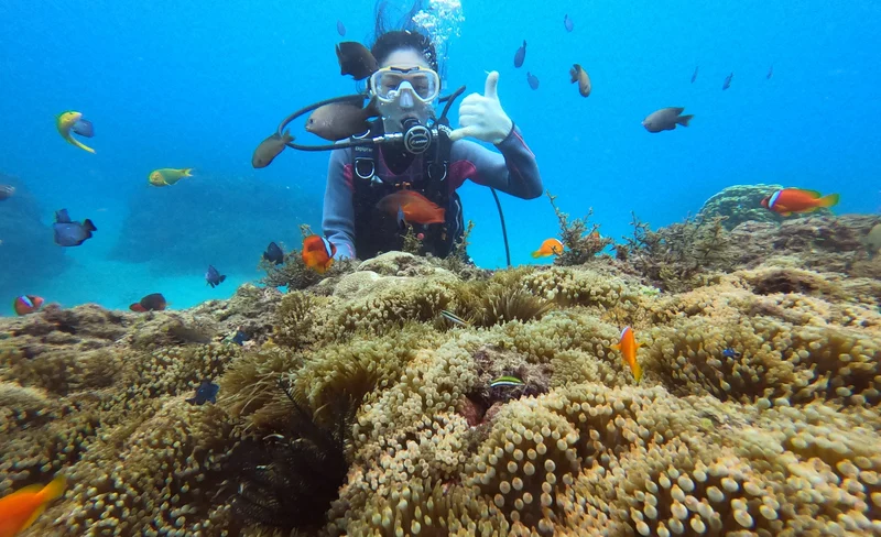 Pingtung｜Kenting Wanlitong Beach Water Entertainment Trip｜Diving experience・Advanced snorkeling