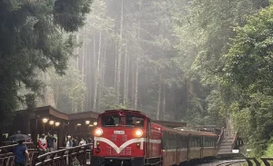Alishan One Day Tour from Taichung