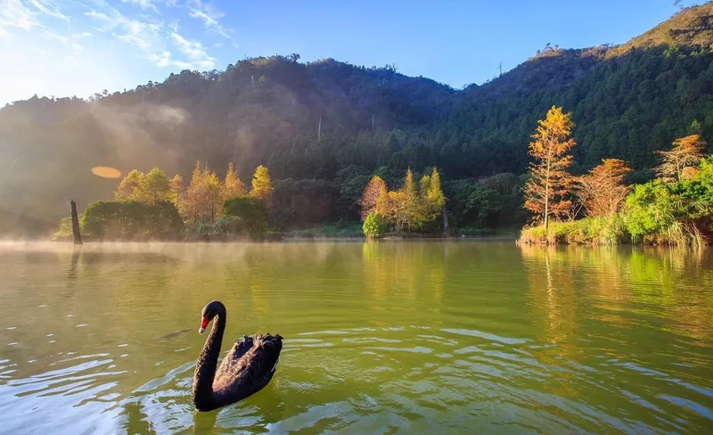 Magao Ecological Park Ticket (Qilan Forest Recreation Area)