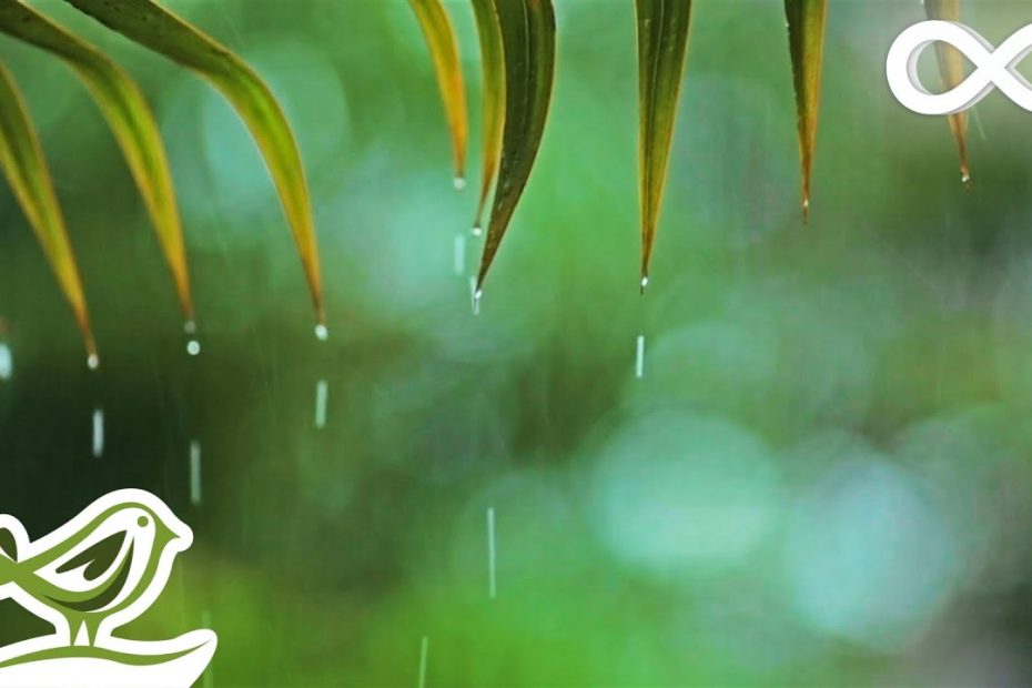 Relaxing Music & Rain Sounds - Beautiful Piano Music, Background Music, Sleep Music • You & Me