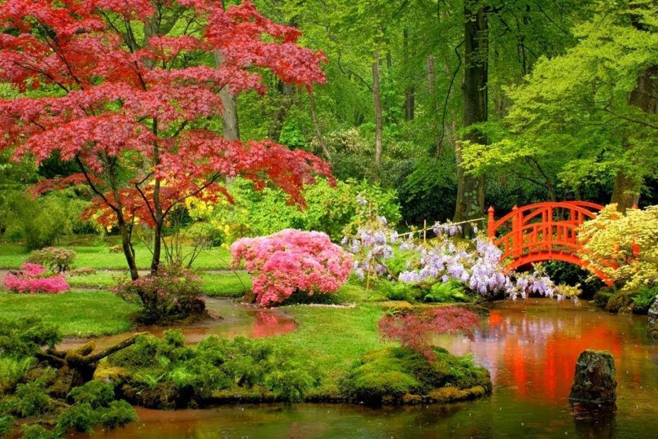 Peder B. Helland - Japanese Garden